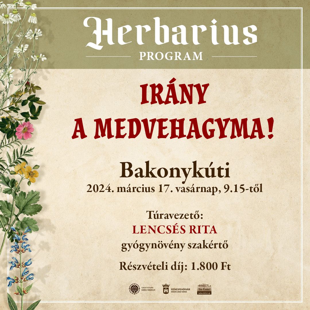 Irány a medvehagyma! – Bakonykútiban folytatódnak a Herbarius túrák vasárnap